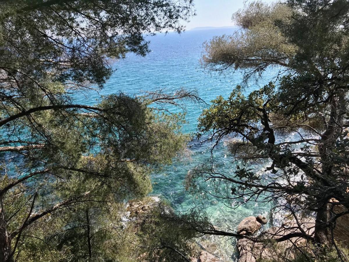 Villa Les Alizes Le Le Rayol-Canadel-sur-Mer Exterior foto