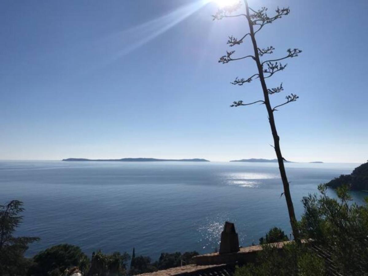 Villa Les Alizes Le Le Rayol-Canadel-sur-Mer Exterior foto