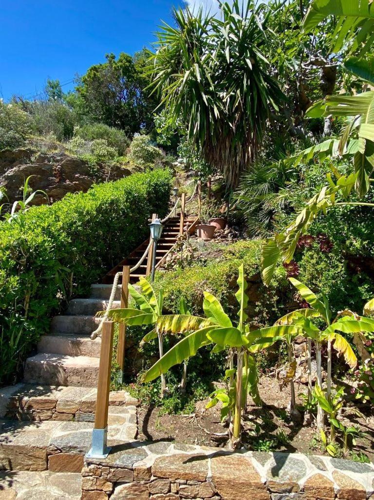 Villa Les Alizes Le Le Rayol-Canadel-sur-Mer Exterior foto